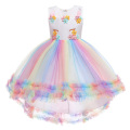 Robe de fête de robe Puff Princess brodée